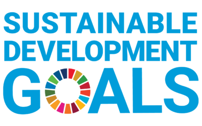 SDGs自発的ローカルレビュー（VLR）先行都市の取組レポート