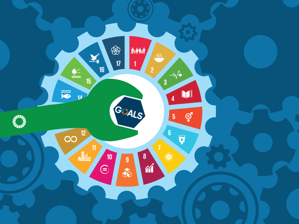 COVID-19 and the SDGs